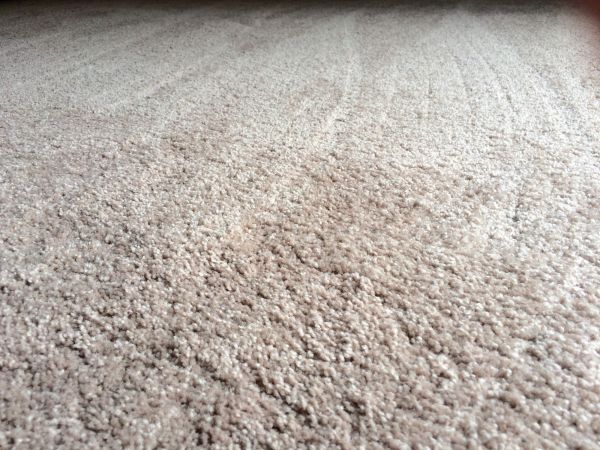 Plush Carpet Installation in Lake Elsinore