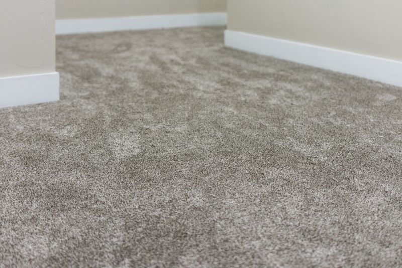 Freshly Cleaned Carpets